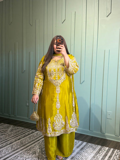Pure Chinon Silk Dori Embroidered A-Line